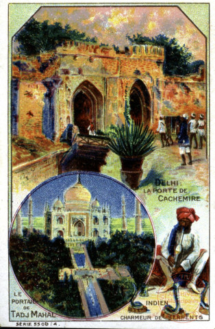 Inde. Delhi: la porte de Cachemire. Le portail de Tadj Mahal. Indien, charmeur de serpents.
