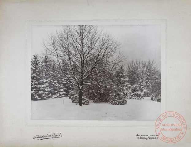 Parc du château du barrage à Thionville, quartier Beauregard - Paysage enneigé