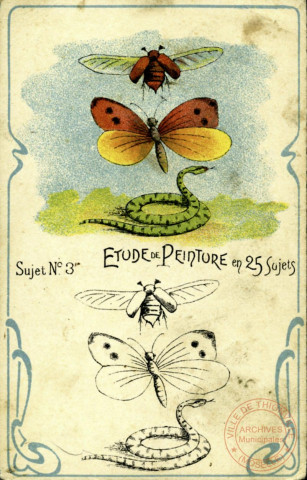 Etude de peinture: sujet n°3 - papillons, serpent