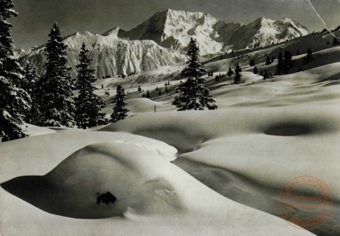 COURCHEVEL, 1850m. (Savoie).- Le Biollay, vue sur le Grand Bec et Grande Casse (3852)