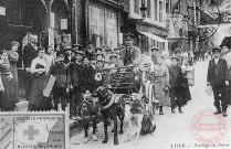 Cartes d'Autrefois (1890-1920) - Transports et communications - Lille - Attelage de chiens