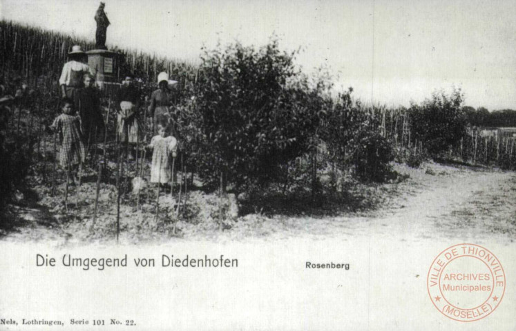 Die Umgegend von Diedenhofen - Rosenberg / Autour de Thionville en 1902 - La Côte des Roses - Dans le vignoble