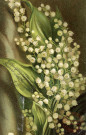 [Muguet]