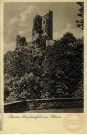 Ruine Drachenfels am Rhein