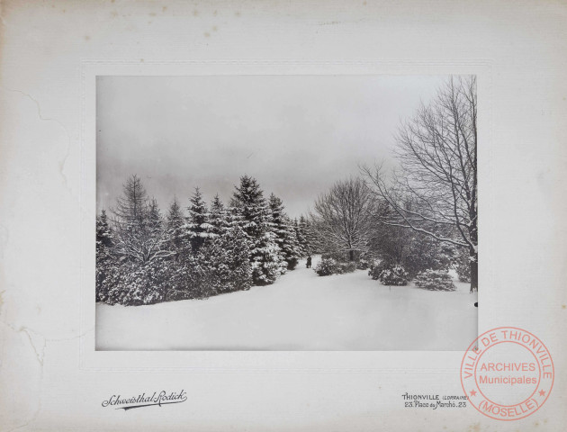 Parc du château du barrage à Thionville, quartier Beauregard - Paysage enneigé