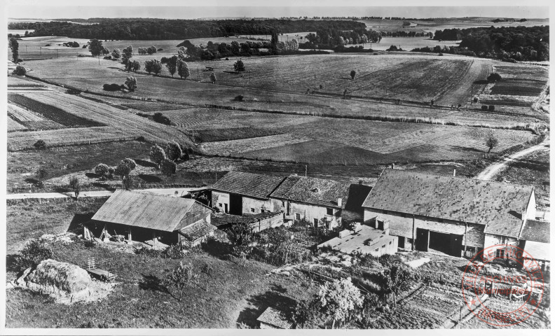 57. Moselle - V. Les paysages ruraux - 5. Le pays agricole du centre : Suisse (près de Morhange)