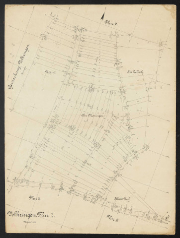 Volkringen, Flur 7 Massstab 1:1000.