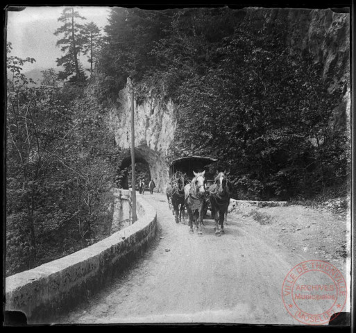 Calèche sur une route de montagne