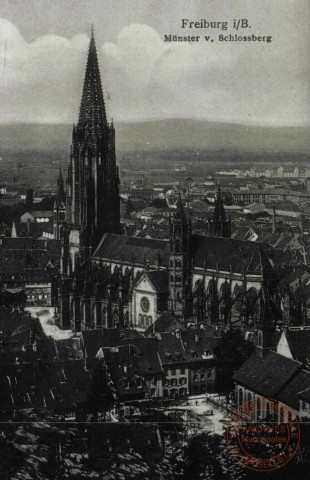 Freiburg I/B. Münster v. Schlossberg