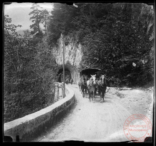 Calèche sur une route de montagne