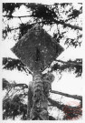 Bildstock de Bohler, route d'Usselkirch à Breistroff-la-Grande. Croix monumentale de 5m de hauteur datée 1715