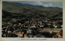 Sainte-Marie aux Mines - Vue générale