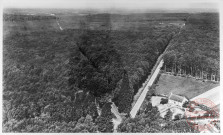 29. La forêt - Forêt de Tronçais (Bourbonnais)