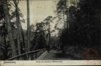 Saarbrücken. Partie am Deutsch-Mühlenweiher