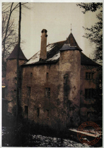 Vieux château de Volkrange monument historique du XIIIe siècle - façade ouest, sept percements sur deux travées meurtrières horizontales et petites fenêtres, les deux tours ont chacune leur caractère propre