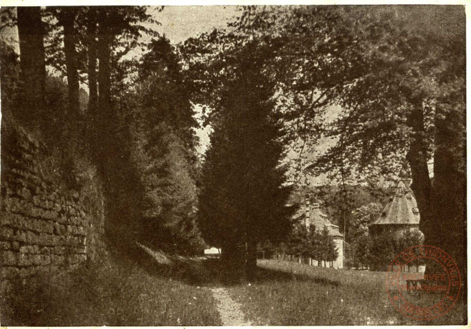 Aérium de Lettenbach par Abreschviller - Le Parc