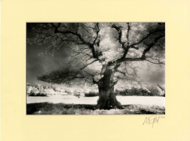 Impressions en Saar-Lor-Lux