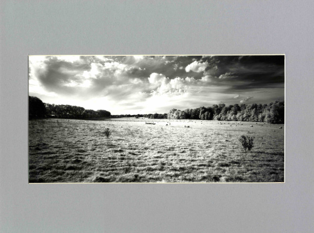 Paysages de Lorraine