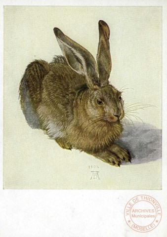 Albrecht Dürer Der Hase (UM 1502) Wien,Albertina.