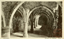 VIANDEN. Ruines du Château. Cave.