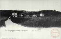 Die Umgegend Dienhofen - Ober Gentringen / Autour de Thionville en 1902 - Haute-Guentrange - Les vignes