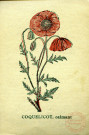 Coquelicot, calmant