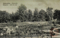 Diedenhofen - Rosengarten / Thionville - Jardin des roses