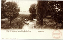 Die Umgegend von Diedenhofen - Die Fensch