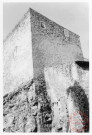 Château de Roussy-le-Bourg (commune de Roussy-le-Village). Remparts, 9 rue du Bourg