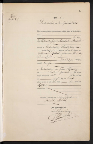 État civil : registre de naissances (1901)