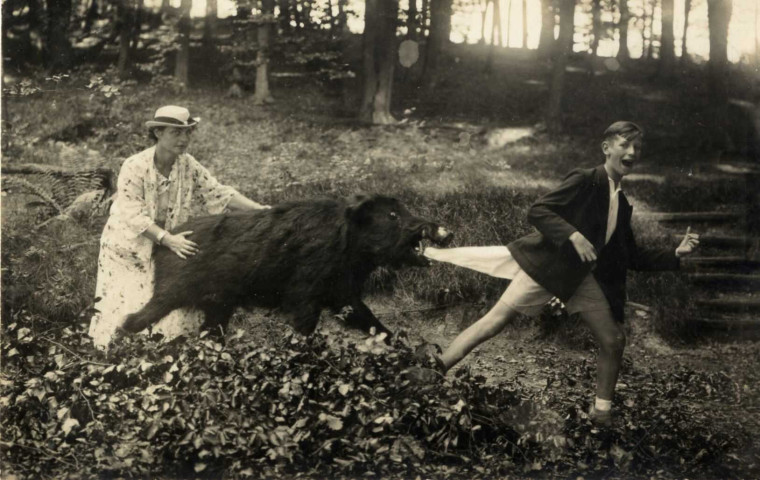 [Photographie humoristique avec un sanglier qui attrape la chemise d'un adolescent dans la forêt]