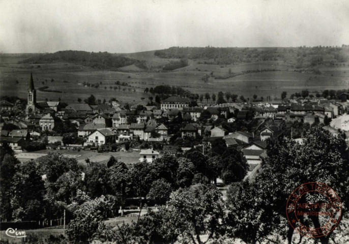 Chateau-Salins (Moselle) - Vue Générale