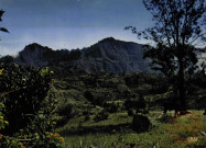 LA REUNION - Le Massif du Piton des Neiges