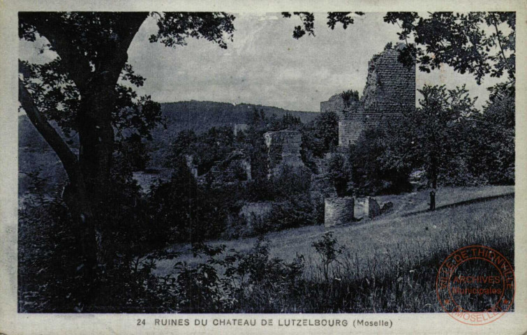 Ruines du Château de Lutzelbourg (Moselle)