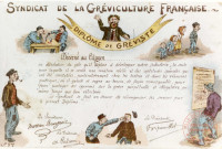 Carte postale présentant un diplôme de gréviste comique