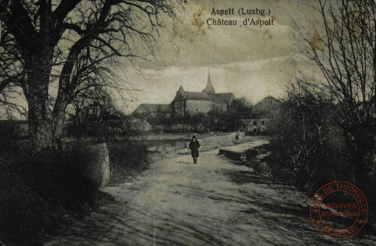 Aspelt (Luxbg.) - Château d'Aspelt