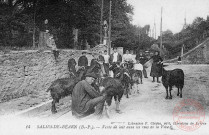 Cartes d'Autrefois (1890-1920) - Commerce, foires et marchés - Salies-de-Béarn - Vente de lait dans les rues de la ville