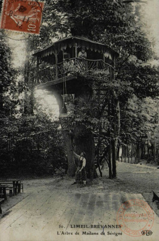 LIMEIL-BREVANNES. L'Arbre de Madame de Sévigné