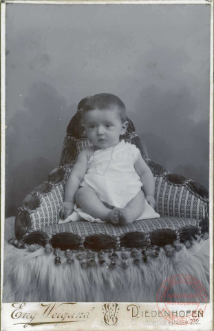 Portrait d'un enfant en studio