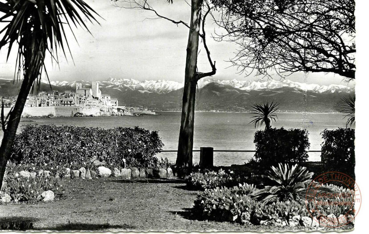 Côte d'Azur - Antibes - La vieille Ville au fond les Alpes neigeuses