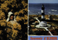 Sur La Côte de Lumière - L'Ile d'Oléron- Les Mimosas- Le Phare de Chassiron