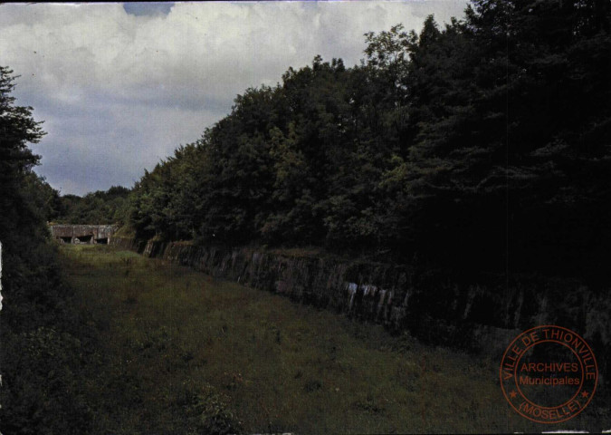 Veckring (France) - Ligne Maginot - Ouvrage du 'Hackenberg' - Mur anti-chars et bloc 25