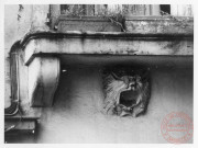 6 rue du Pont (actuelle rue Georges Ditsch), à l'aplomb de la cave, une cavité dite "cuvette", sculptée en forme de mufle de lion, qui servait à caler la chèvre (poulie) nécessaire à l'acheminement des tonneaux - Thionville