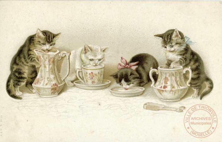 [Quatre chats buvant dans de la vaisselle en porcelaine]