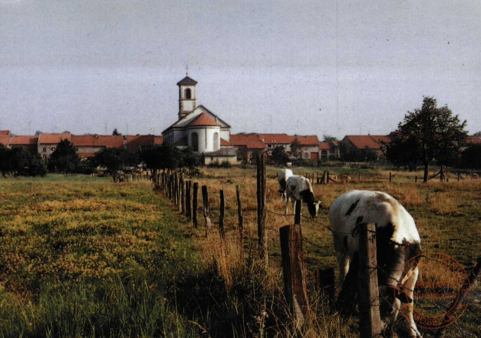 Guessling-Hemering(Moselle) - Photographie: Guillaume Courtade - Août 1990 au profit de l'école maternelle