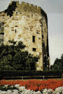 Thionville - Tour aux Puces - Seul vestige d'un château de XIIIe s.