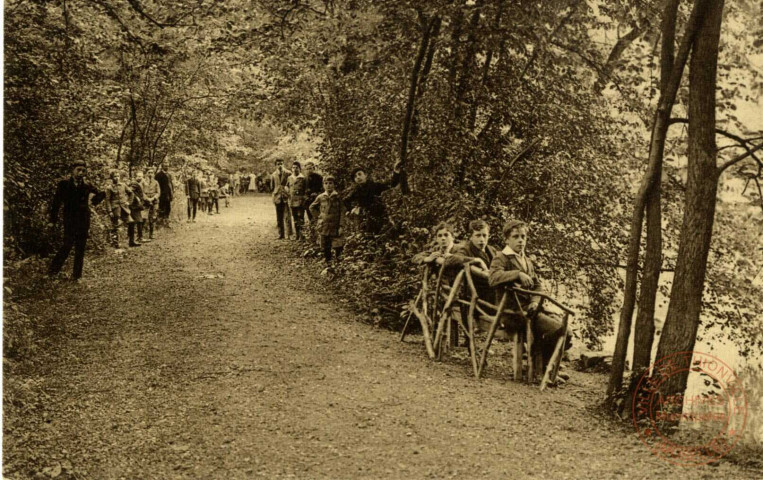 Petit Séminaire des Pères des Sacrés-Coeurs (Ecole Apostolique) Waudrez-les-Binche - Une allée dans le Parc