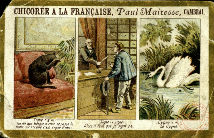 Homonymes: signe, signe, cygne.