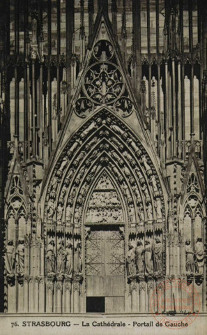 Srasbourg : La Cathédrale : Portrait de Gauche