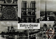 Notre-Dame de Paris: La Cathédrale Notre-Dame (1163-1260); grande rose du portail Saint-Etienne; flèche de Notre-Dame et panorama de la Seine;l'île de la Cité, chimères de Notre-Dame.